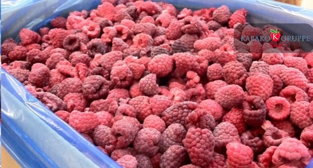 Frozen (IQF) Raspberries 10